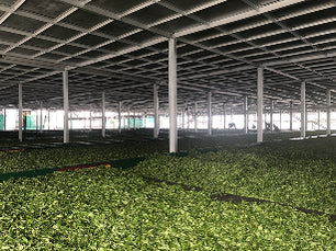 kurti estate covered garden