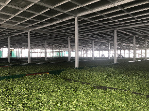 kurti estate covered garden